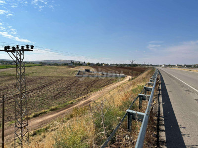 WhatsApp Image 2025-06-02 at 15.53.39 (1).jpeg